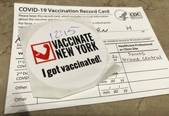COVID immunity through infection or vaccination: Are they equal?