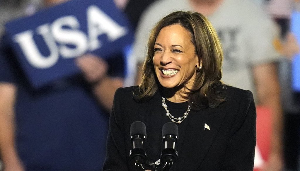 Vice President Kamala Harris addresses a campaign rally in Pittsburgh, Nov. 4, 2024. (AP)